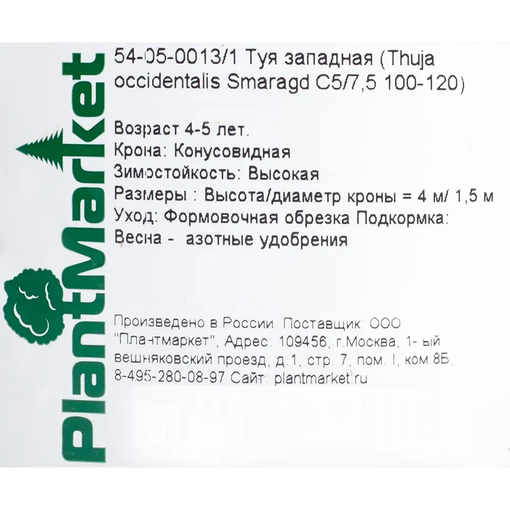 Туя западная «Смарагд» С5, 100-120 см PLANTMARKET STLM-2192410 - Вид №1