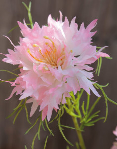 3400 510 a3 Искусственный цветок любви в тумане, 80 см, розовый H-andreas