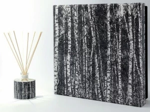 IWISHYOU Ароматизатор в натуральном камне Penumbra 8057711490080