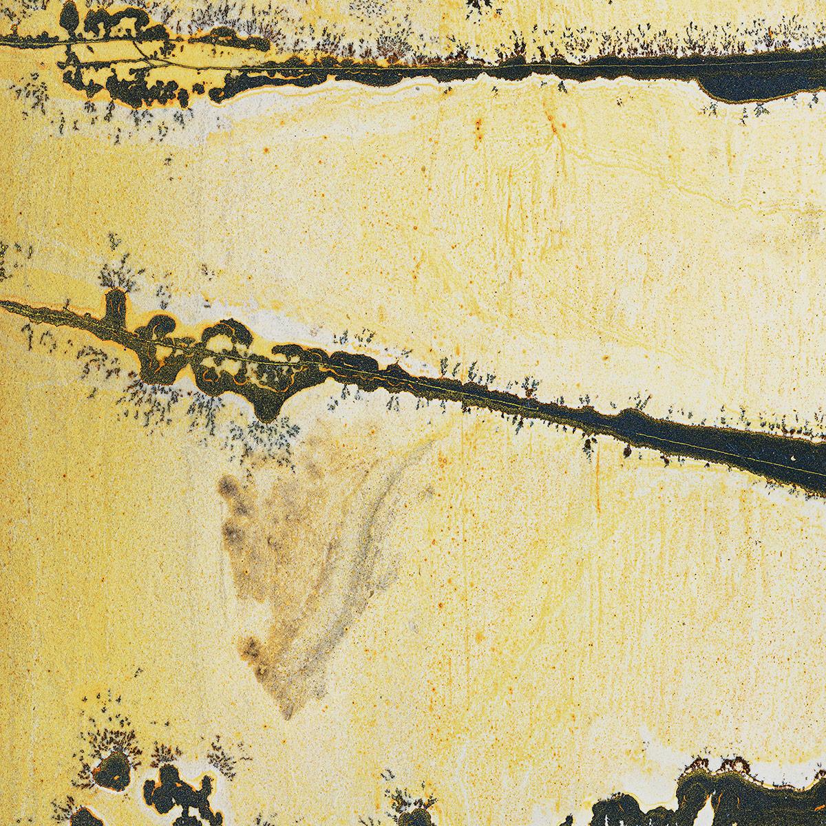 SICIS Rhino Orange Vetrite sun-id-1991220 - Вид №6