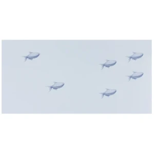 Декор Марис «Рыбки» 30х60 см цвет белый 81990573 STLM-2047922