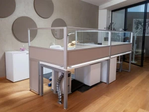 STUDIO T Офисная перегородка из стекла