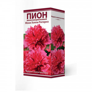 83600259 Пион травянистый Мэни Хэппи Ритернз луковица 2-3