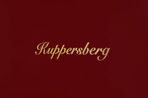 NRS 1857 BOR Bronze Отдельностоящий двухкамерный холодильник, габариты (шxвxг): 70 х 185 х 67 см, полезный объем хол. камеры:382л, полезный объем мороз.камеры: 97л, класс энергопотребления а+ ,потребление электроэнергии:252квт/год, динамическое охлаждение Santreyd  - Вид №2