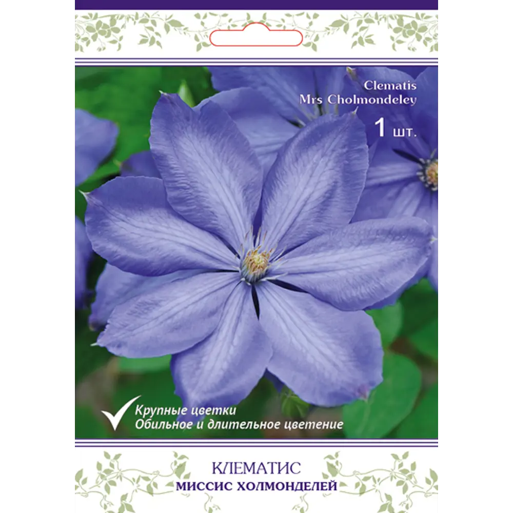 Клематис крупноцветковый Миссис Холмонделей h15 см 83431376 STLM-2160162 Santreyd 