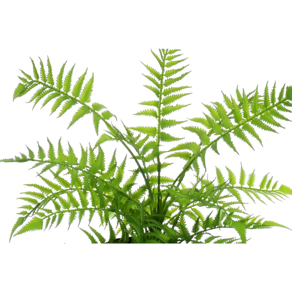 Искусственное растение Папоротник Солито ø13 h40 см Santreyd STLM-2092885 - Вид №2