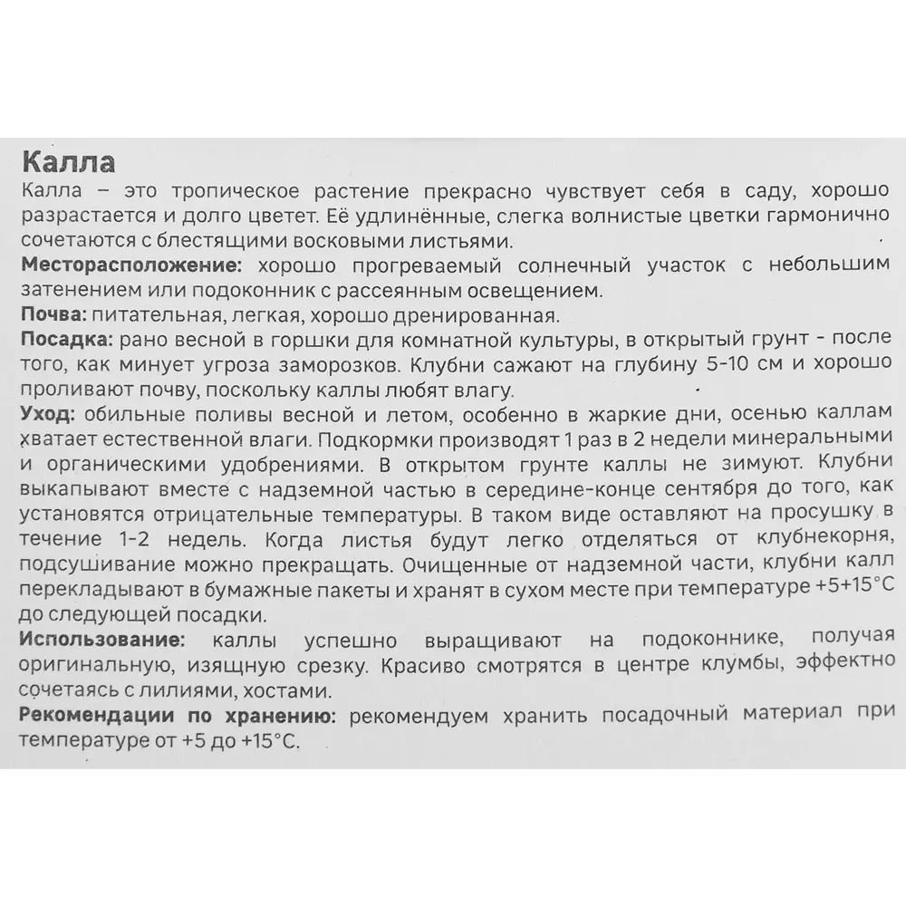 Калла Geolia Белопятнистая STLM-2130255 - Вид №2