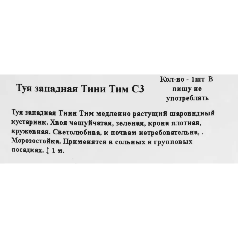 Туя западная «Тини Тим» 19x20 см 82550335 STLM-2105621 ГАВРИШ  - Вид №1