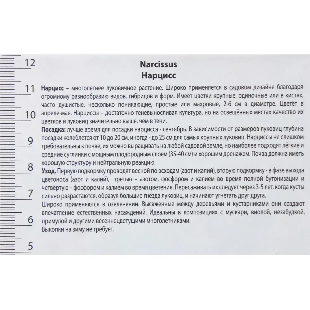 Нарцисс с расщеплённой коронкой «Кассата», высота 40 см, 3 шт. 82000168 STLM-2110794 Santreyd  - Вид №2