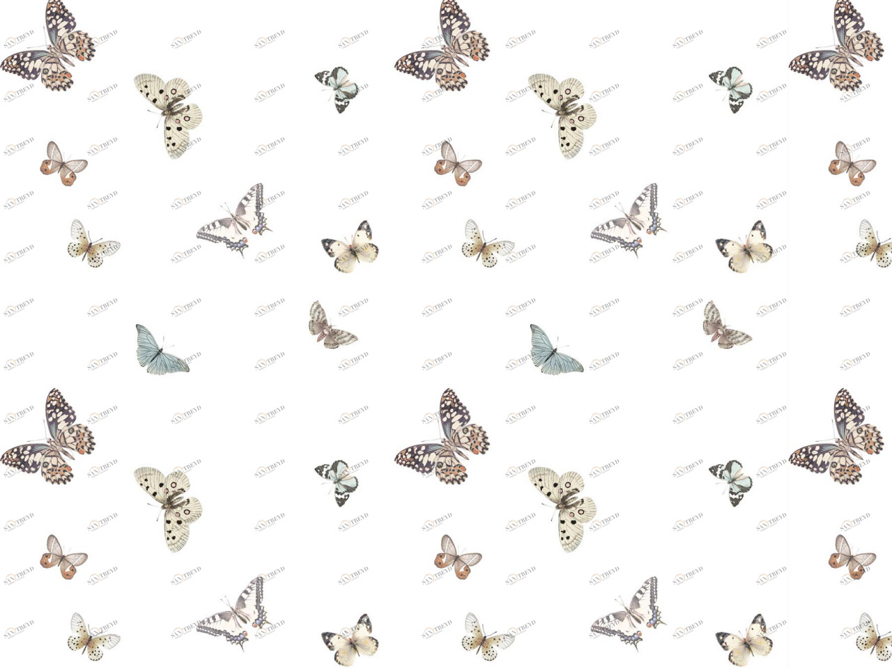 COLORISTICA 2514-29 Портьерная ткань  Тюль  Wonderland 