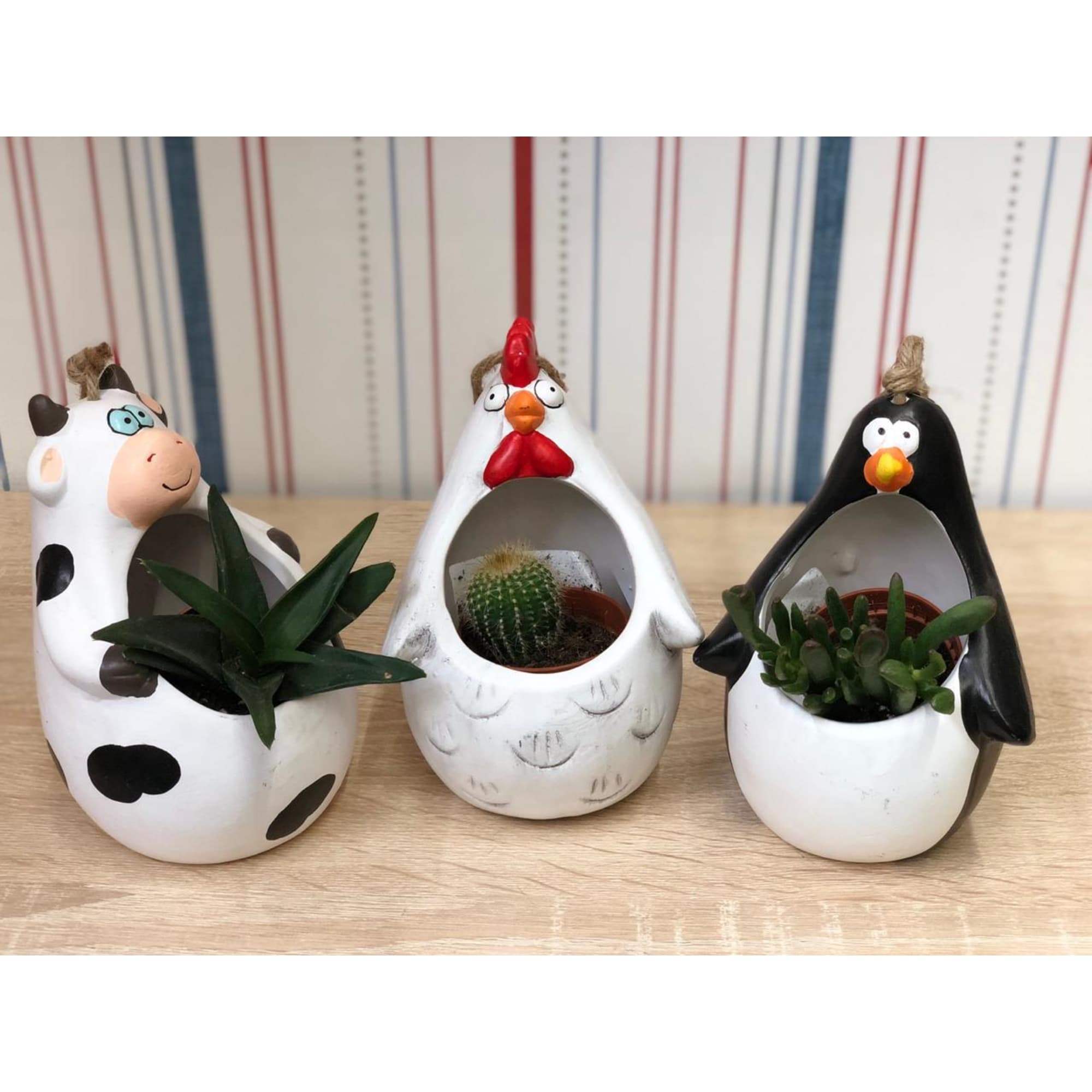 82056884 Кашпо-кактусник 10.5x10x15 см v0.15 л керамика чёрный/белый Santreyd  - Вид №6