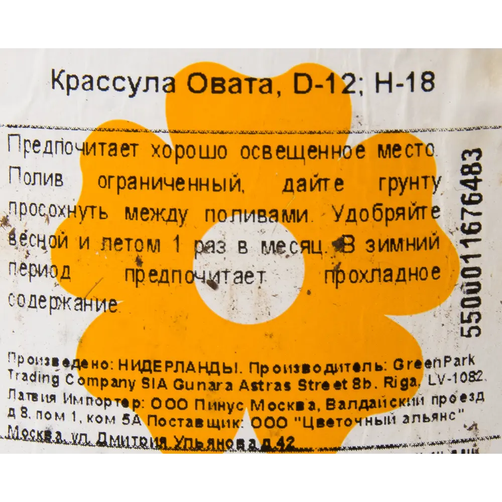 Крассула овата 12x20 см 15163371 STLM-2137204 Santreyd  - Вид №2