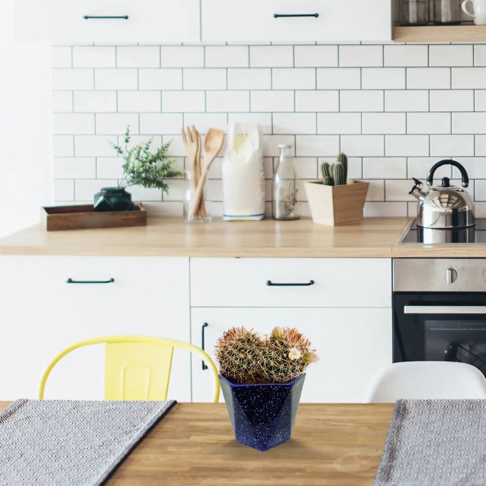 Кактус Мамиллярия Santreyd - живой декор с уникальной текстурой 13534036 STLM-0003271 - Вид №3