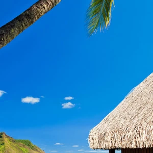 A1-093 Фотообои DIVINO Collection A 2.7х1 м