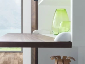 SALICE Петля для мебели с откидной дверью