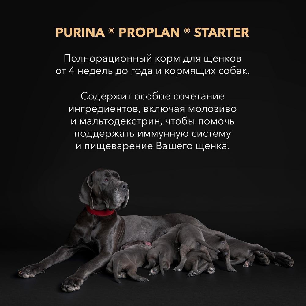 ПР0059703 Корм для щенков Starter для крупных пород, курица сух. 12кг Pro Plan  - Вид №2