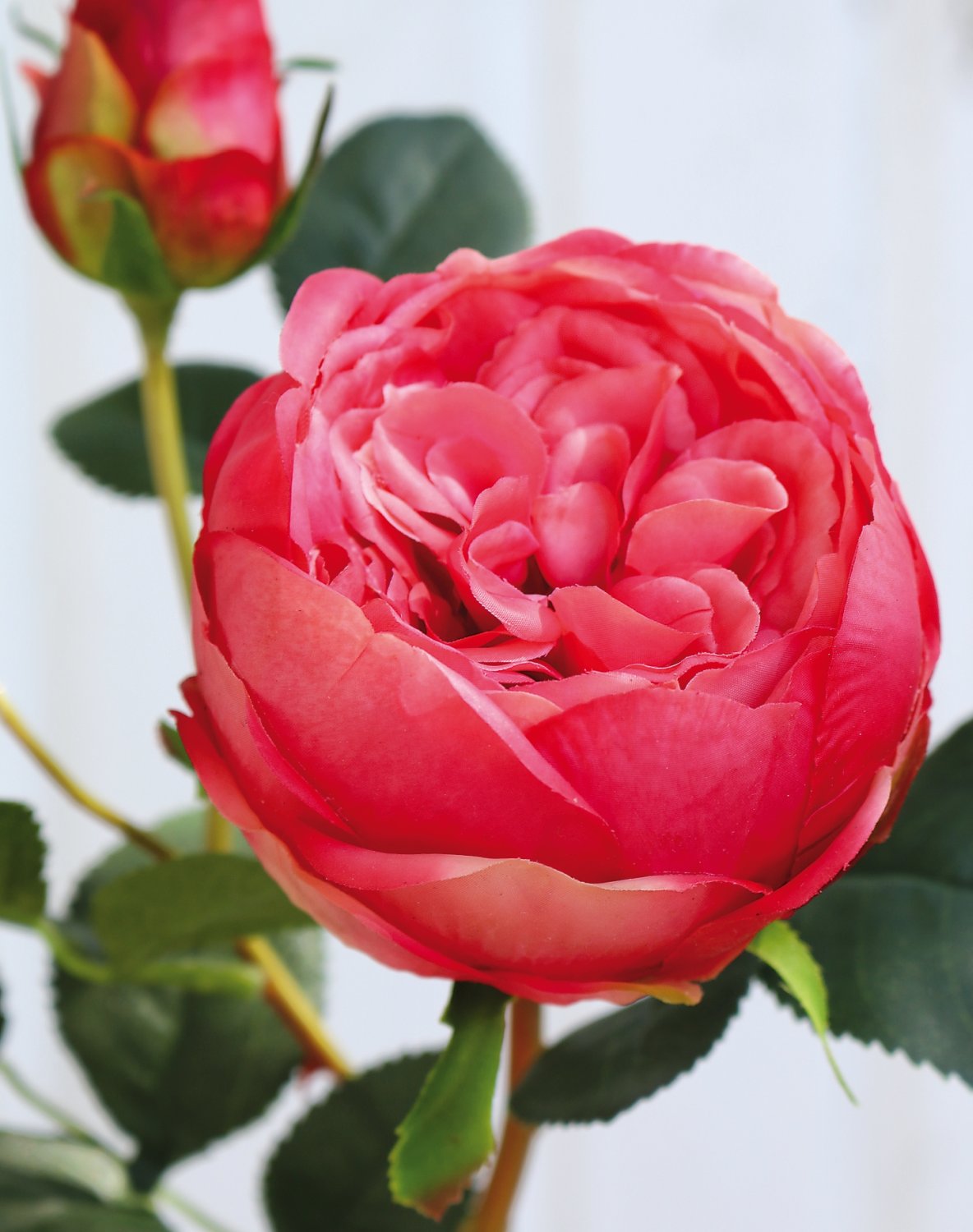 2592 515 a3 Ложная роза, 1 цветок, 2 бутона, 60 см, real touch soft, розовая H-andreas  - Вид №2