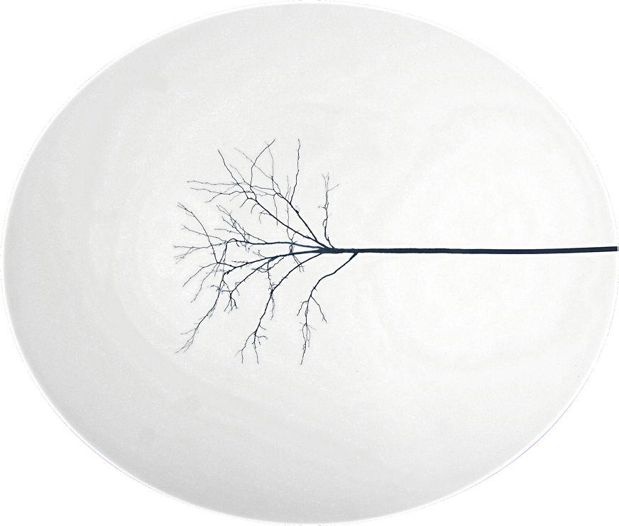 77367 Dibbern Блюдо овальное Dibbern "Чёрный лес" 39см Фарфор костяной 