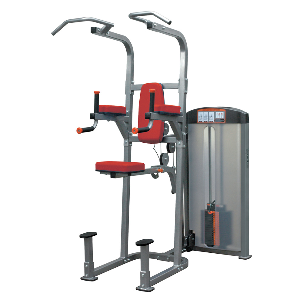 IF8120 Aerofit if/sg if8120 подтягивание / отжимание с помощью AeroFIT IF серия 