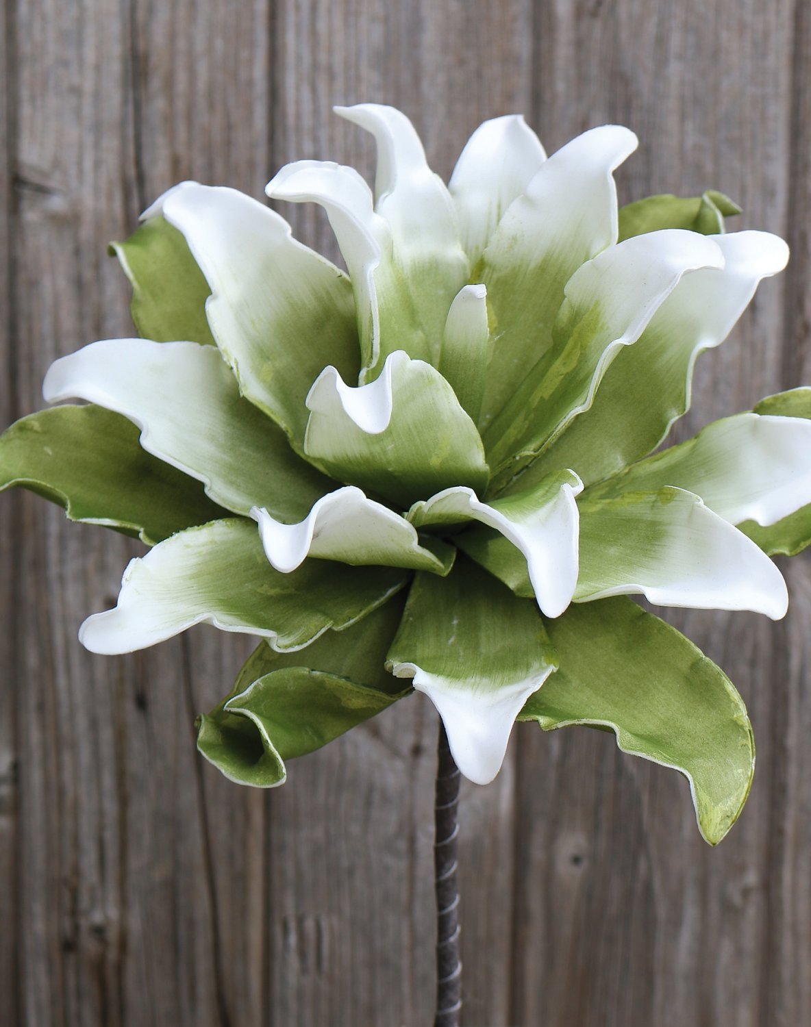 7898 807 a3 Искусственный протея мягкий цветок, 38 см, зелено-белый H-andreas  - Вид №3