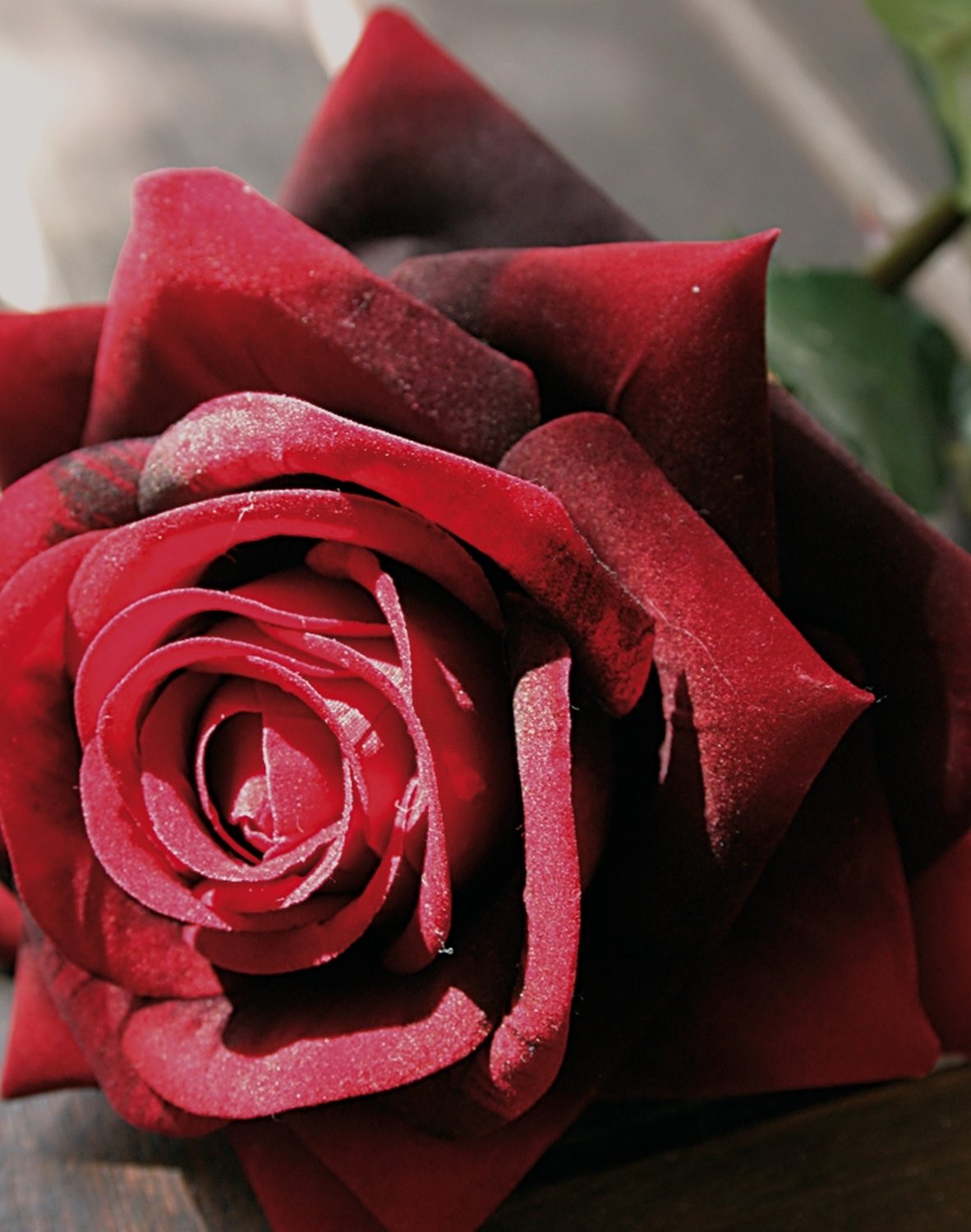 2408 449 a2 Искусственная роза, бархат, 80 см, бордовый H-andreas  - Вид №7