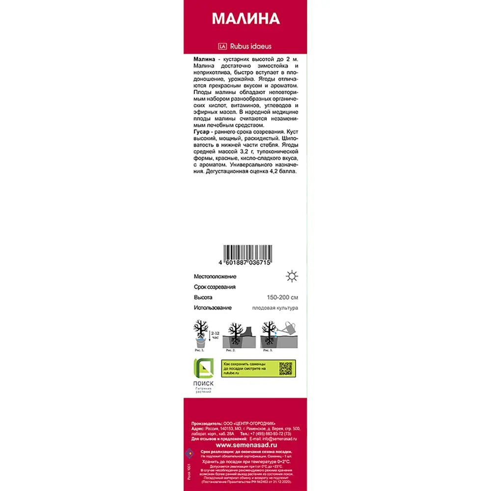 Малина традиционный Гусар коробка h39 см 89408247 STLM-2139500 Santreyd  - Вид №1