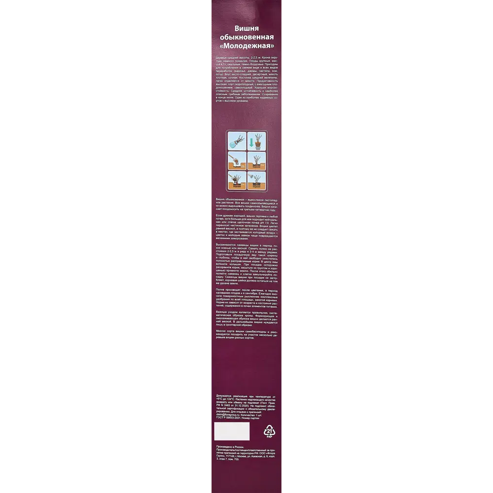 Вишня микс туба h60 см 89353019 STLM-2130098 Santreyd  - Вид №2
