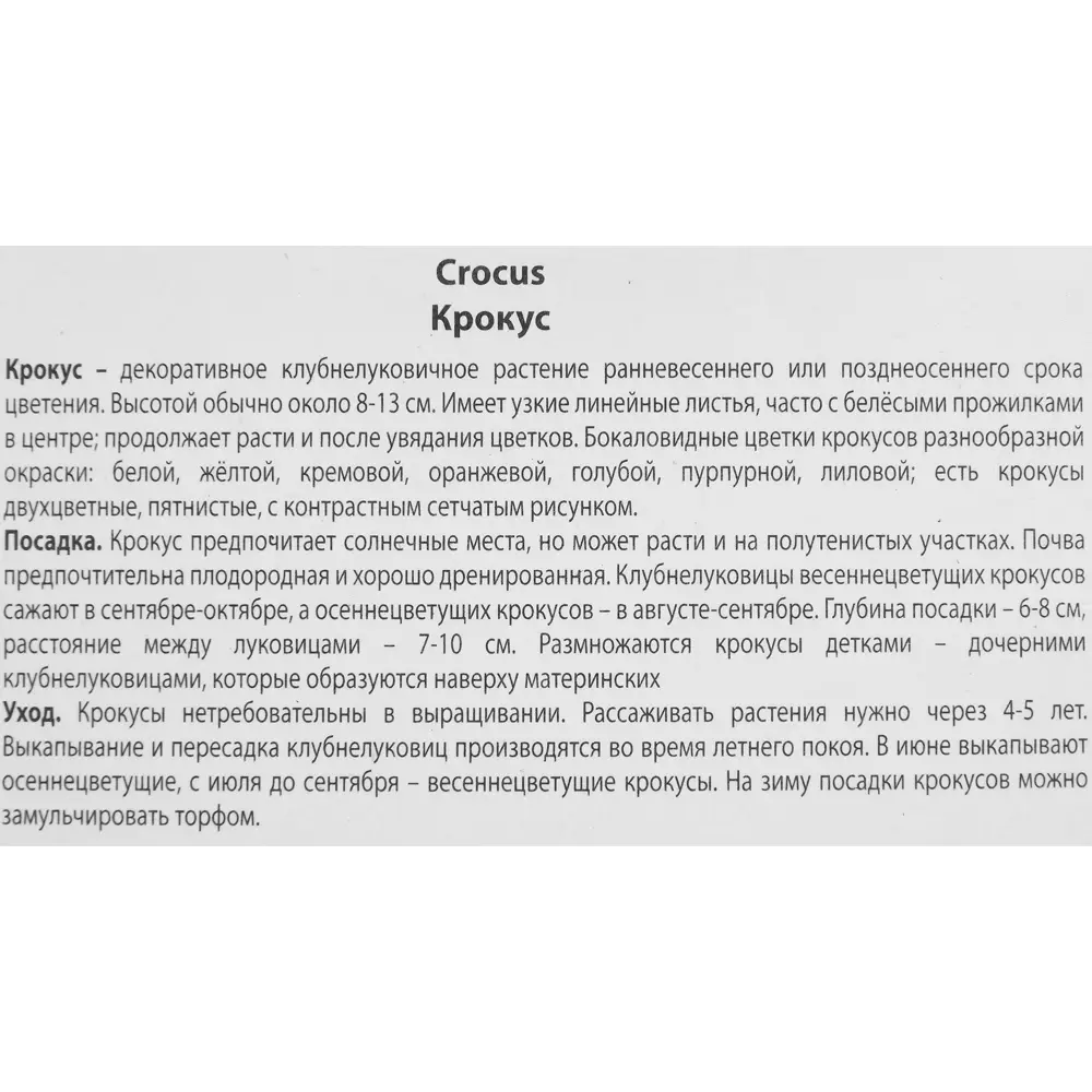 Крокус крупноцветковый Кинг ов страйпт луковица 8/9, 10 шт. 88294623 STLM-2209278 Santreyd  - Вид №2