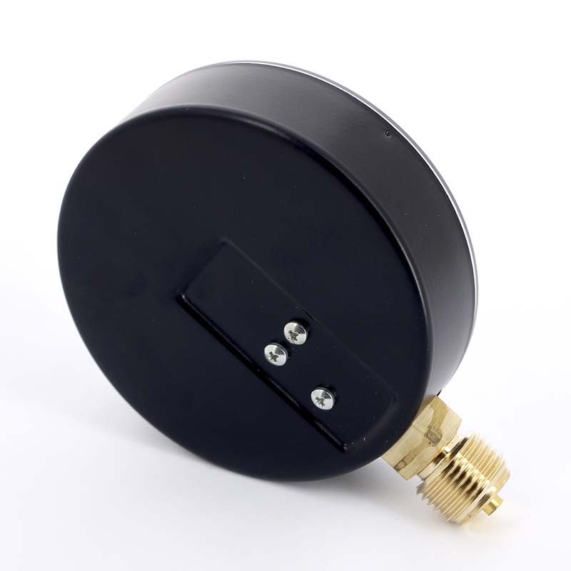 Манометр радиальный F+R200 1/2" 100 мм WATTS Ind 6 бар 10008077 - Вид №2