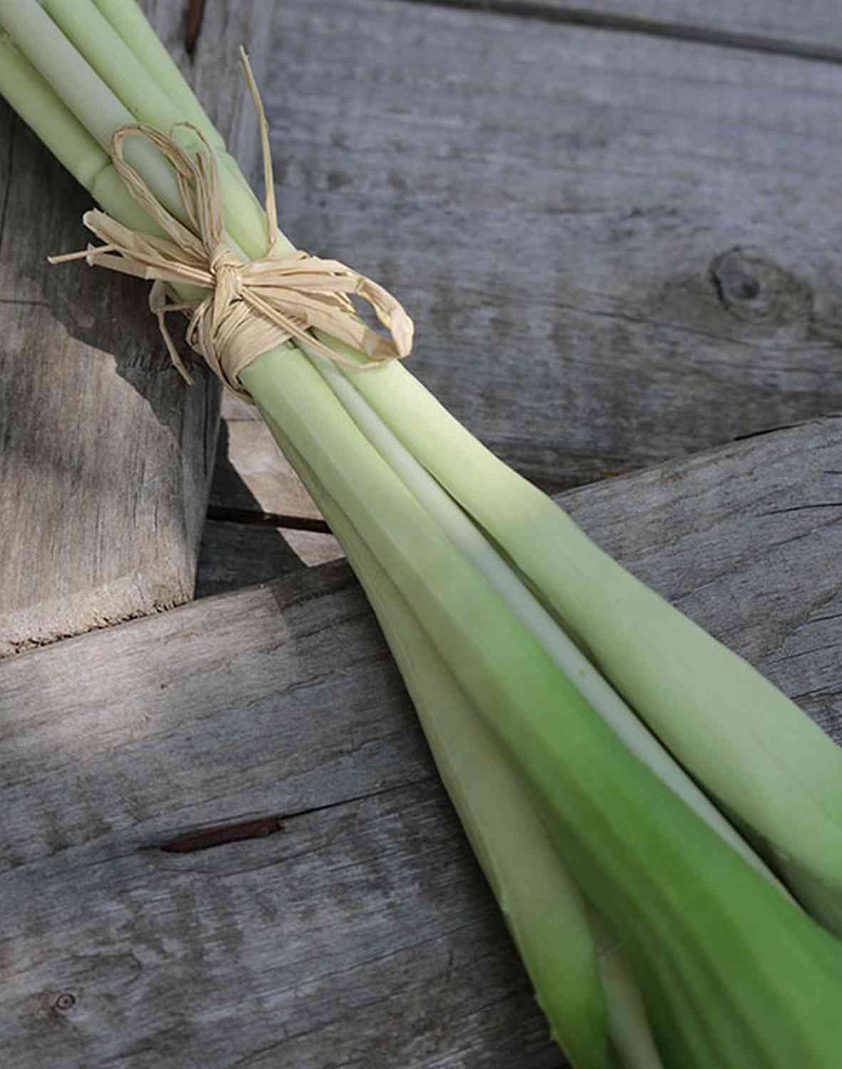 2951 444 a3 Искусственный попугай букет тюльпанов, 5-кратный, 47 см, красный H-andreas  - Вид №3