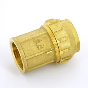 Муфта переходная ПНД Tiemme 1"x32 мм ВР