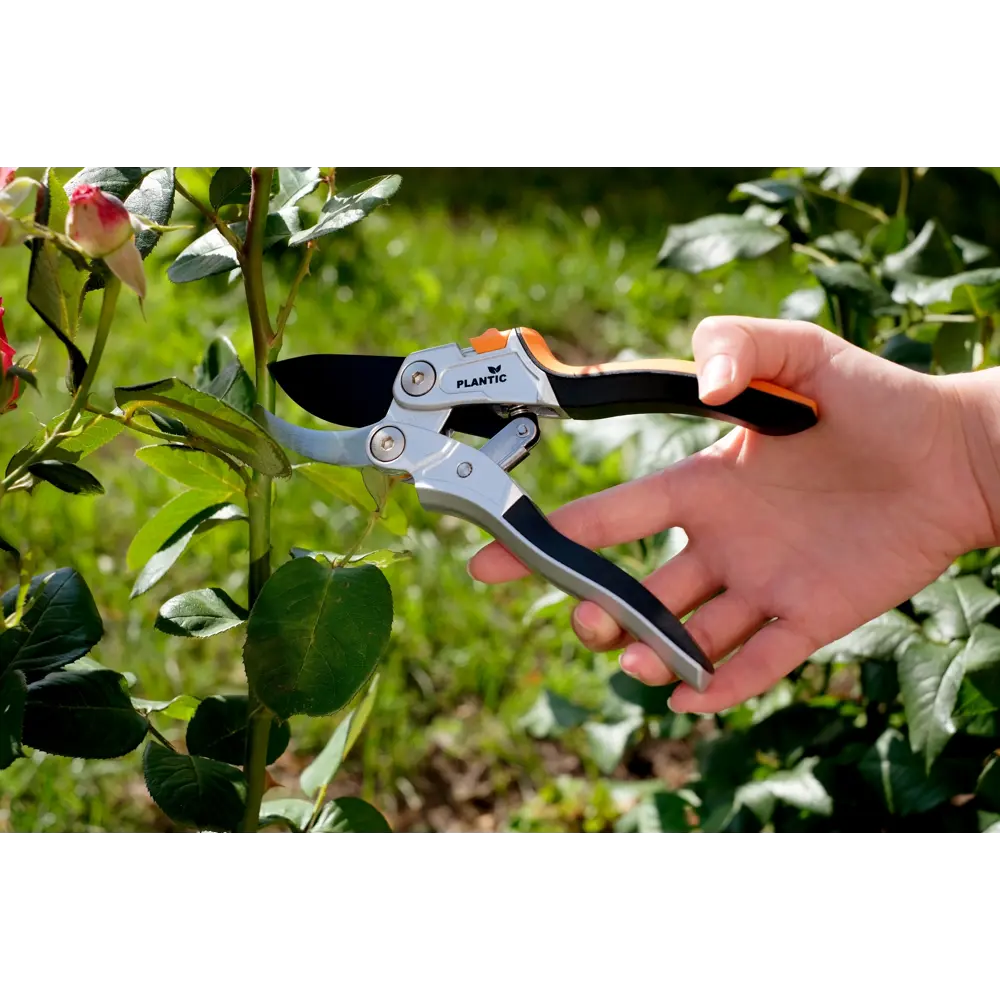Секатор садовый PLANTIC Pro81 для точной обрезки растений 89371270 STLM-1363638 - Вид №3