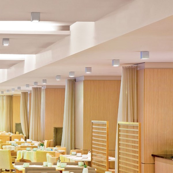 Box 2C OR SQ 1L Ghidini Box C SQ .01 Белый (Матовый)  - Вид №6