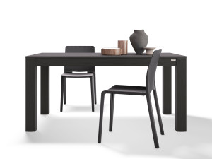 Прямоугольный обеденный стол из черного ясеня