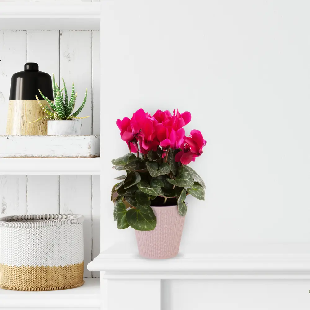 Santreyd Ajur — ажурный горшок для цветов в стиле английской розы 82824894 STLM-0036575 - Вид №3