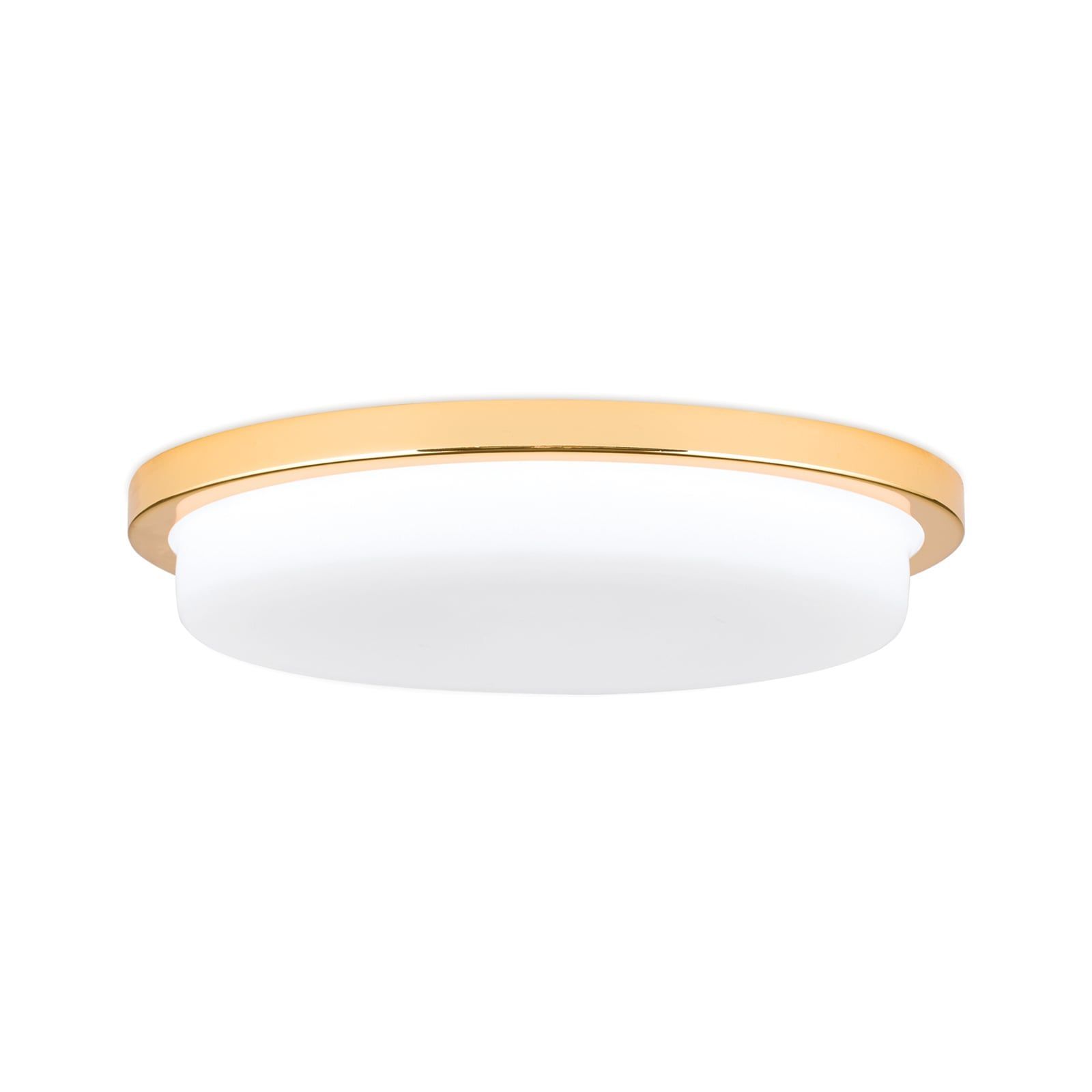 Стеклянный светодиодный потолочный светильник Orion Lerox ARCH-00076009 - Вид №42