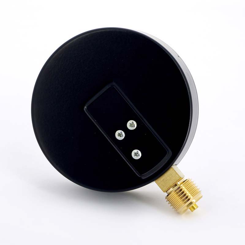 Манометр радиальный F+R200 1/2" 100 мм WATTS Ind 10 бар 10008078 - Вид №2