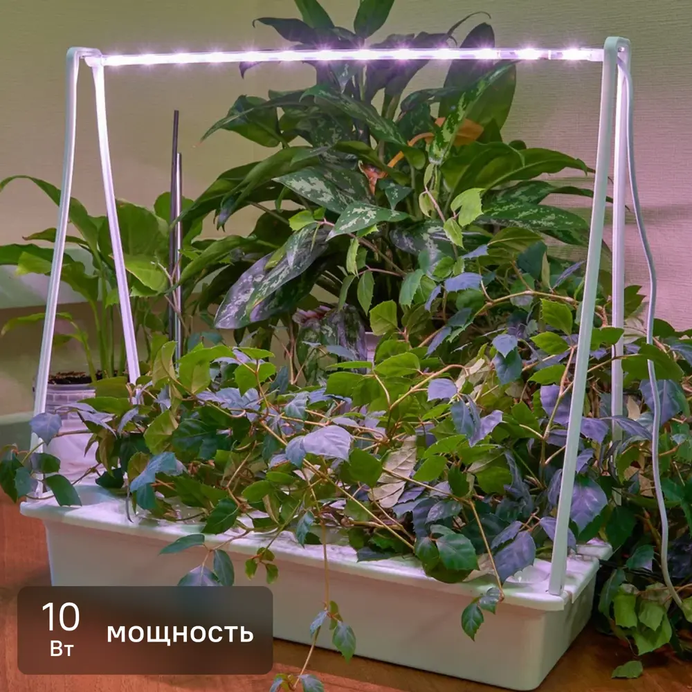 Фитосветильник Minigarden Фито Лето ULT-P44N-10W/SPLE 540 мм 10 Вт розовый свет Santreyd STLM-2092161