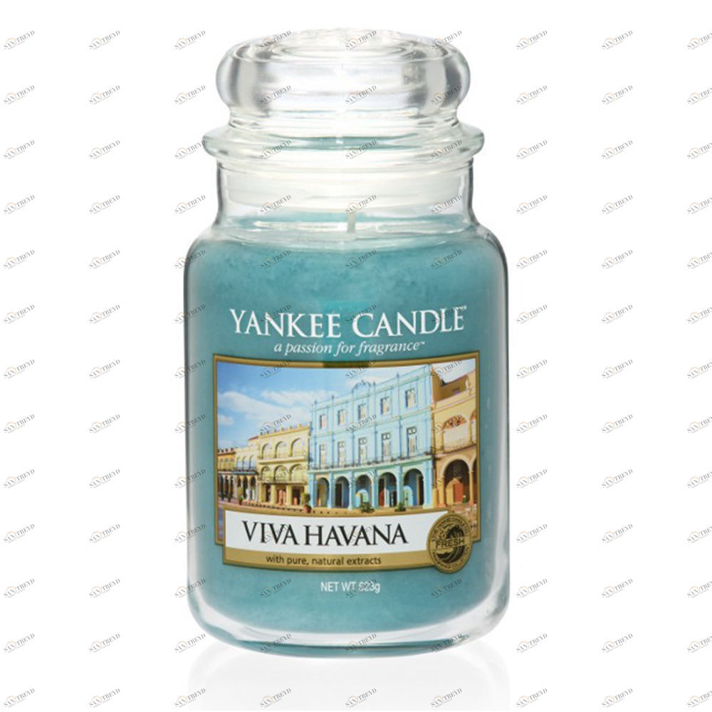 Свеча большая в стеклянной банке "Вива Гавана" 623 гр 110-150 часов YANKEE CANDLE  267810 Голубой 