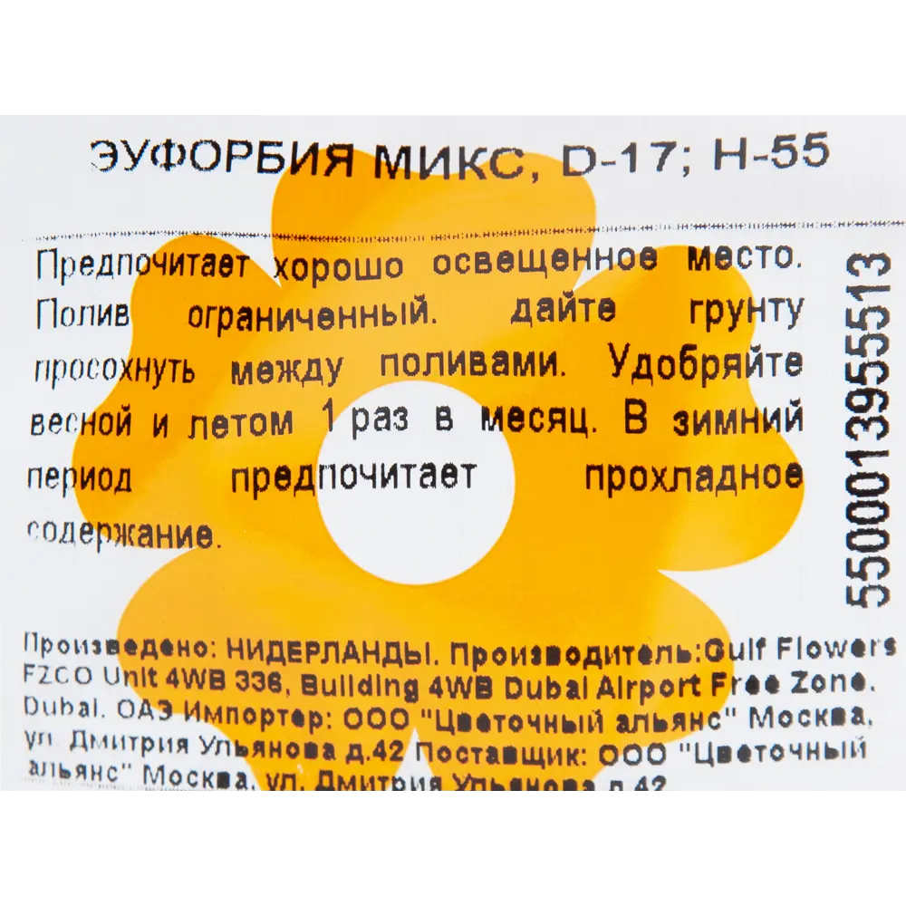 Эуфорбия микс 17x55 см 82850442 STLM-2121559 Santreyd  - Вид №2