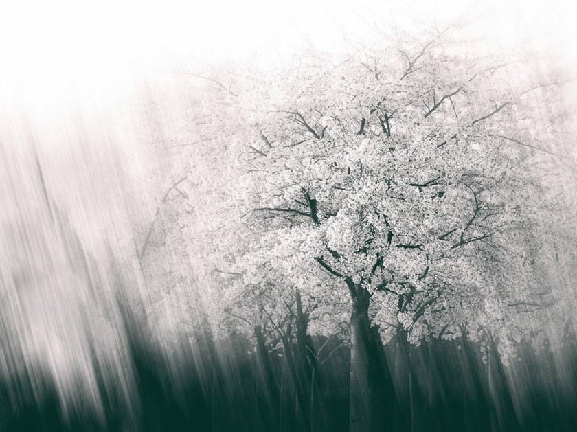 Architects Paper Обои с цифровой печатью Ap digital iv 109305 - Вид №1