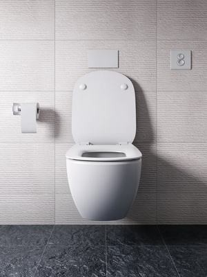 R0136AA Антивандальная пневматическая панель смыва SEPTA PRO P4 Ideal Standard PROSYS SEPTA PRO  - Вид №2