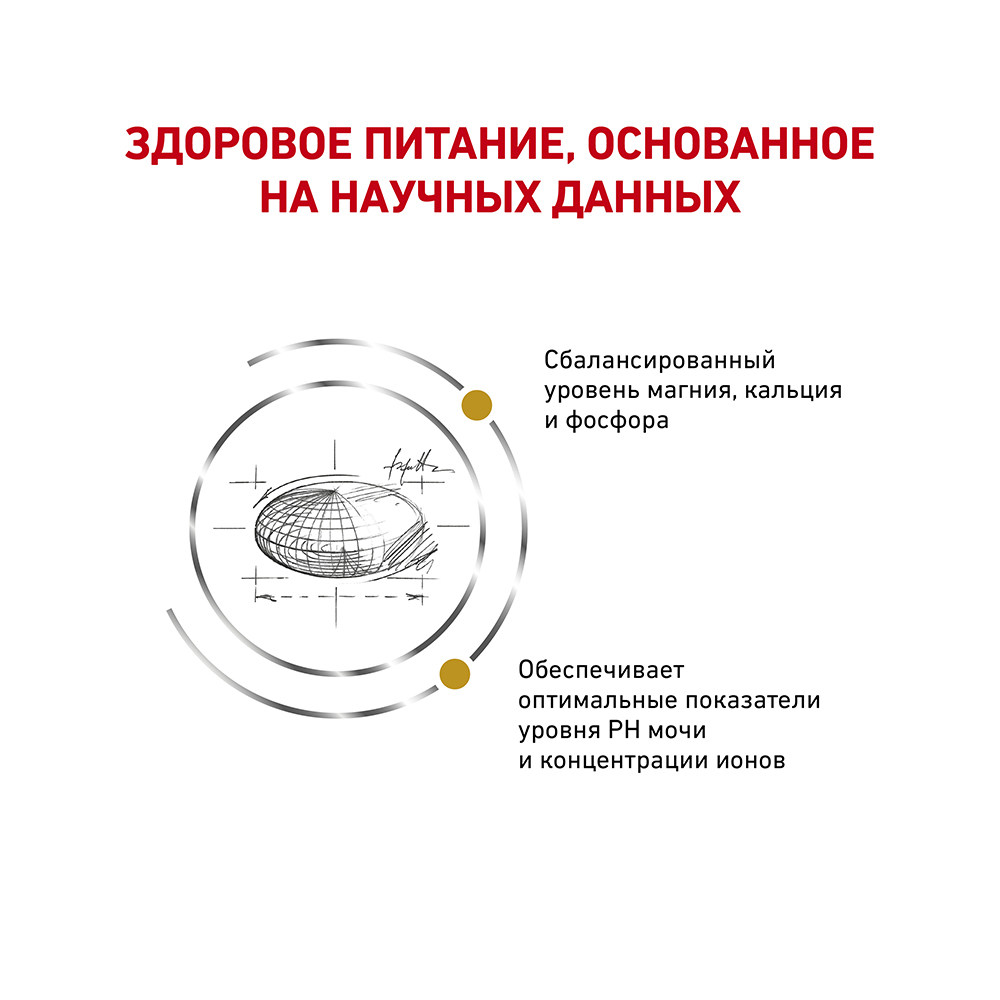 Т0023162 Корм для кошек Vet Diet Urinary S/O LP34 при мочекаменной болезни сух. 7кг ROYAL CANIN  - Вид №3