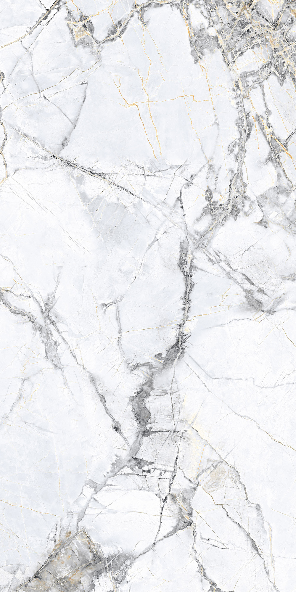 MALTA BIANCO LAPPATO ARCADIA CERAMICA CL4008-A - Вид №5