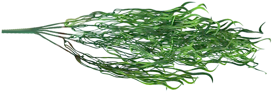 83618191 Искусственное растение подвесное вьющиеся листья 80 см STLM-0042892 Santreyd