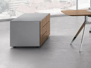 RENZ Офисный комод из дерева Star