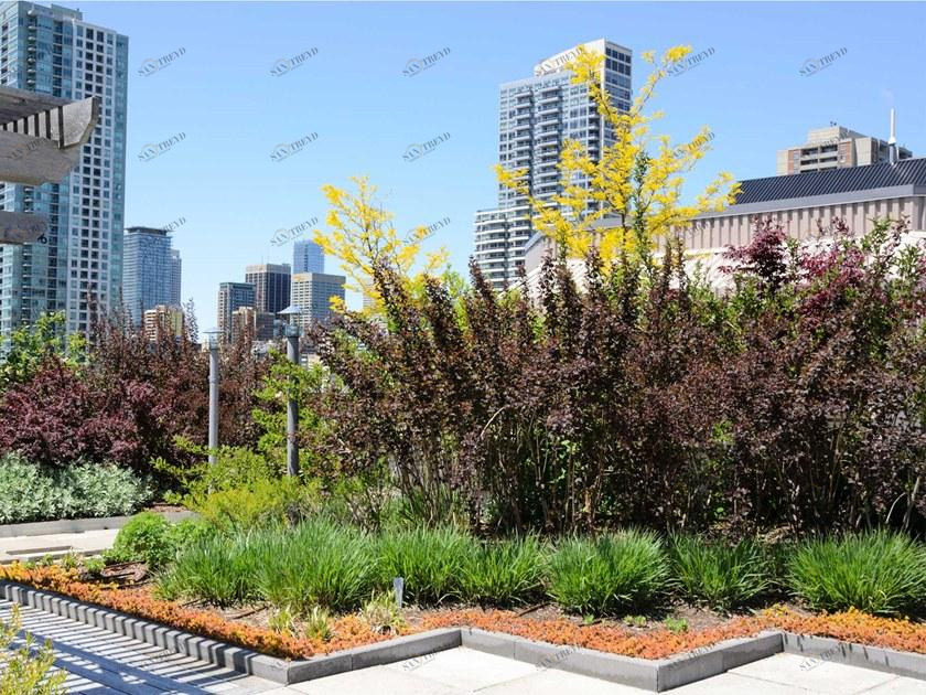 TEGOLA CANADESE Система садовой крыши sun-id-1383309