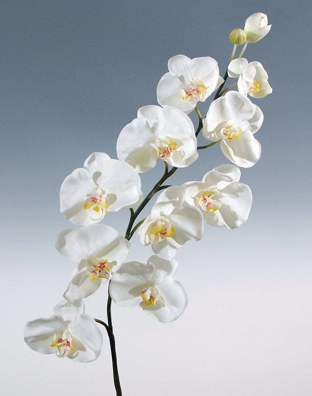 2508 777 a3 Искусственная орхидея Phalaenopsis, 110 см, real touch, белая H-andreas 