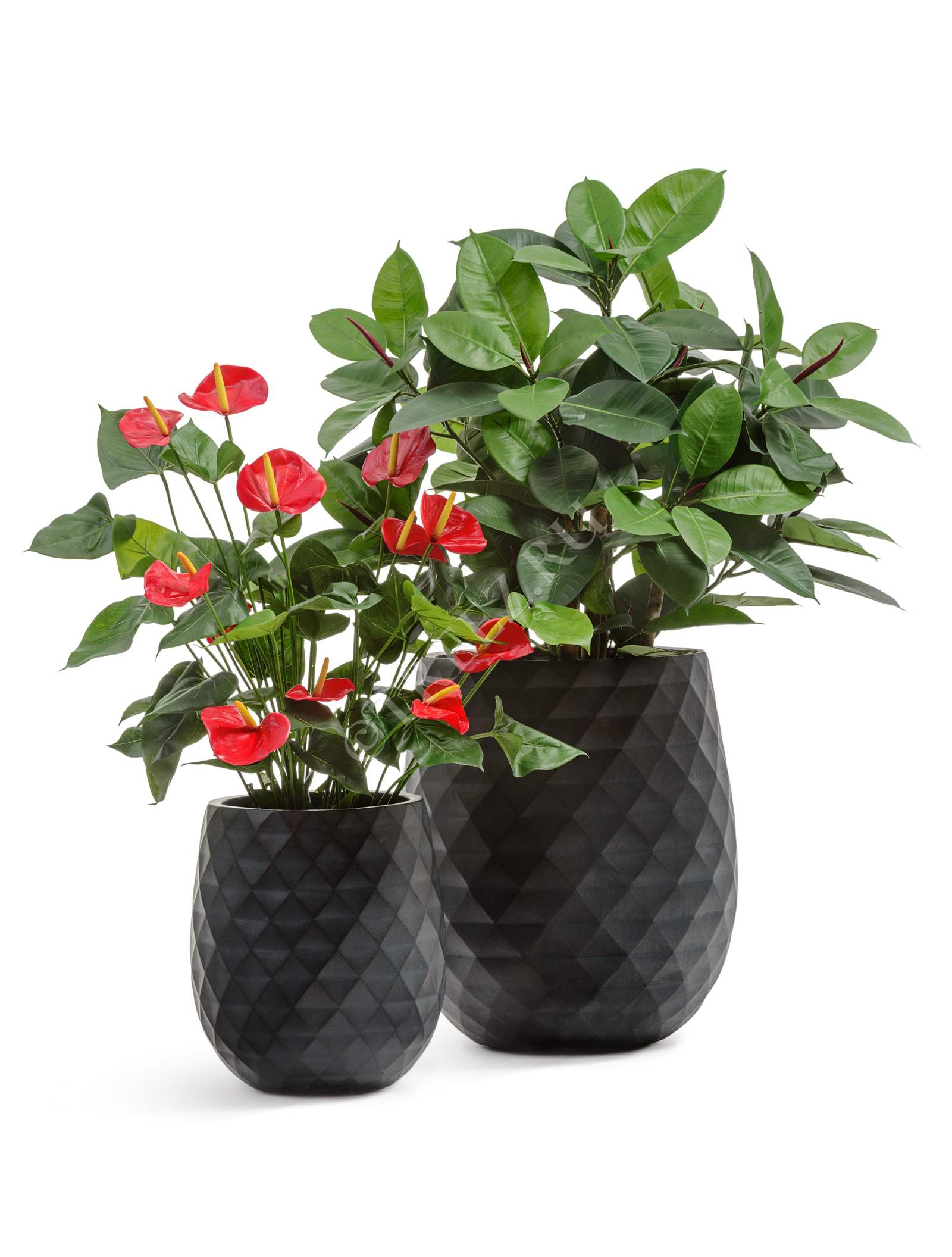 41.1020-0034-BLCK-44 Кашпо  ERGO - серия Diamond - Округлая чаша - Антрацит Цветочная коллекция  - Вид №3