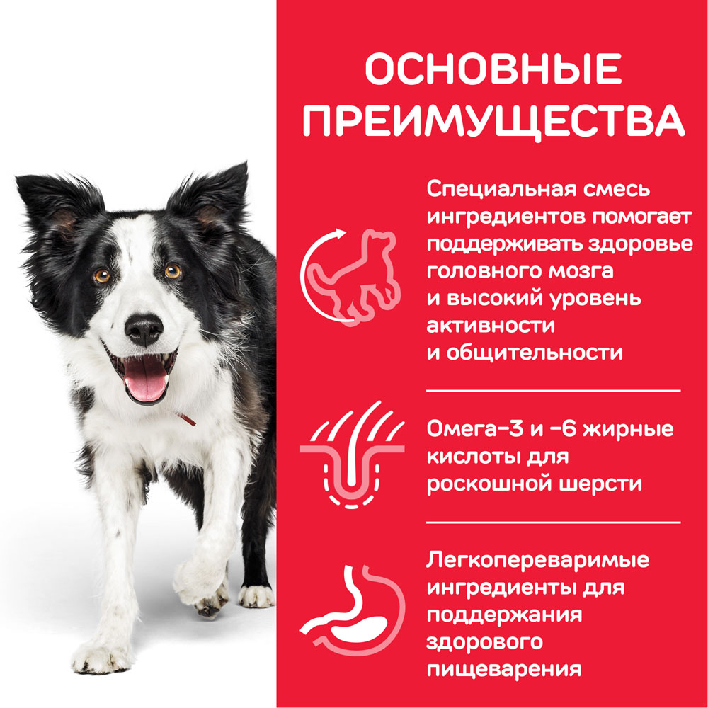 ПР0042535 Корм для собак Hill"s Youthful Vitality для пожилых собак средних пород, Курица Hill's  - Вид №3